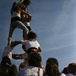 odmwsh2011
